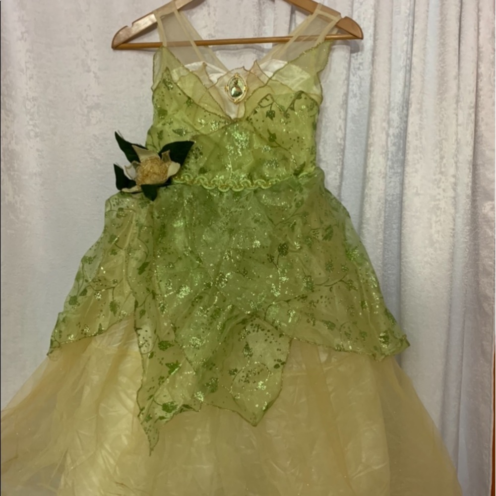 Princess Tiana Dress from Disney